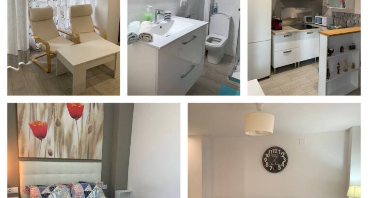 Аренда квартиры в Санта-Пола (город недалеко от Аликанте)