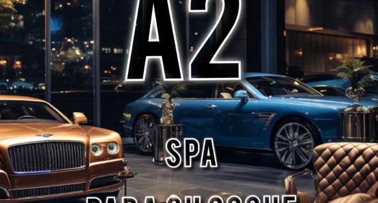 A2 – SPA для вашого авто!