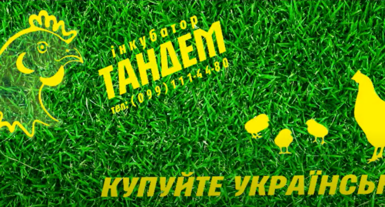 Усім привіт, запускаємо виробництво інкубаторів