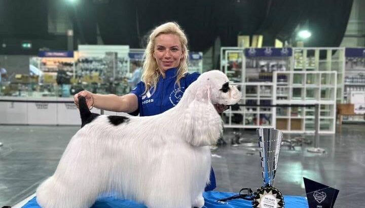 Рада сообщить Вам про долгожданное открытие моего Груминг Центра MaryGroom