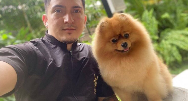 Рада сообщить Вам про долгожданное открытие моего Груминг Центра MaryGroom