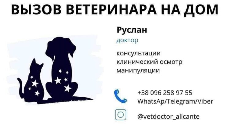 Здравствуйте, меня зовут Руслан, я ветеринар , со стажем более 20 лет.