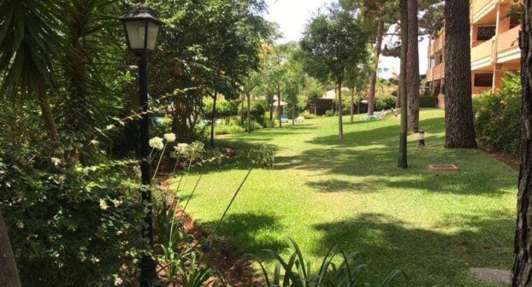 Оренда квартири в Ельвіріі на рік. 1600 на місяць