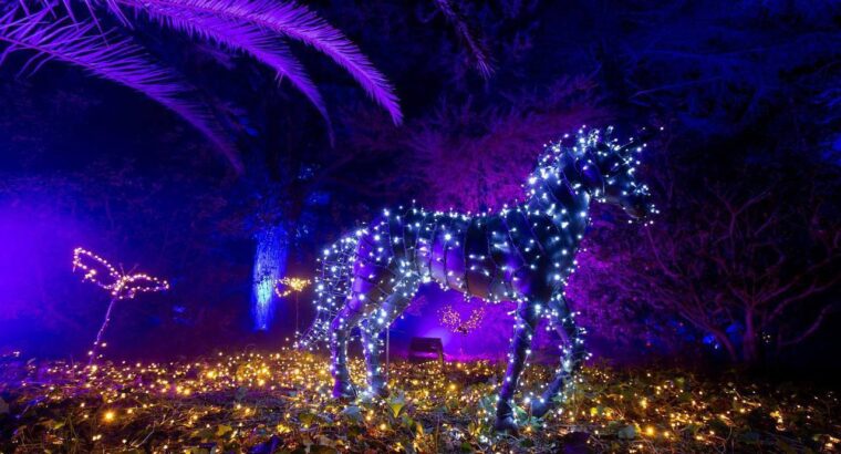 Світлове шоу Natura Encesa 💥 До 20 січня Jardins de Torre Girona