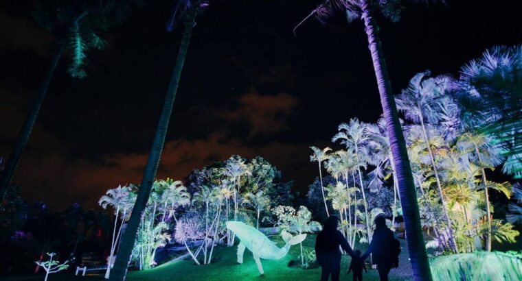 Світлове шоу Natura Encesa 💥 До 20 січня Jardins de Torre Girona