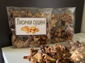 Сушені лисички