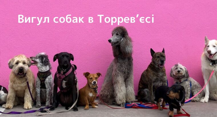 Вигул вашої собаки в м. Торрев’єха