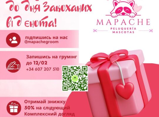 “MAPACHE” ГРУМІНГ-САЛОН в АЛІКАНТІ Всім власникам 4х🐾🐾 даруємо 50% знижку на День Святого Валентина!