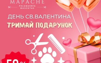 “MAPACHE” ГРУМІНГ-САЛОН в АЛІКАНТІ Всім власникам 4х🐾🐾 даруємо 50% знижку на День Святого Валентина!