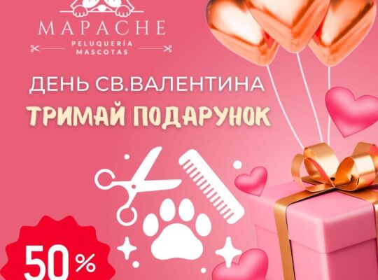 “MAPACHE” ГРУМІНГ-САЛОН в АЛІКАНТІ Всім власникам 4х🐾🐾 даруємо 50% знижку на День Святого Валентина!