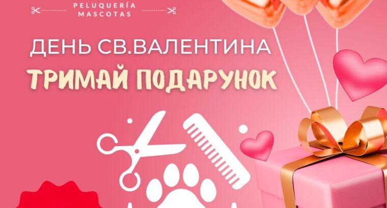 “MAPACHE” ГРУМІНГ-САЛОН в АЛІКАНТІ Всім власникам 4х🐾🐾 даруємо 50% знижку на День Святого Валентина!