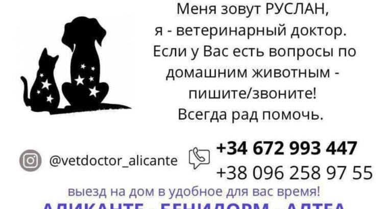 Помощь ветеринара – Аликанте, Бенидорм, Алтеа