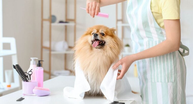 ГРУМЕР АЛІКАНТЕ Привіт друзі! Мене звуть Оля, і я ГРУМЕР