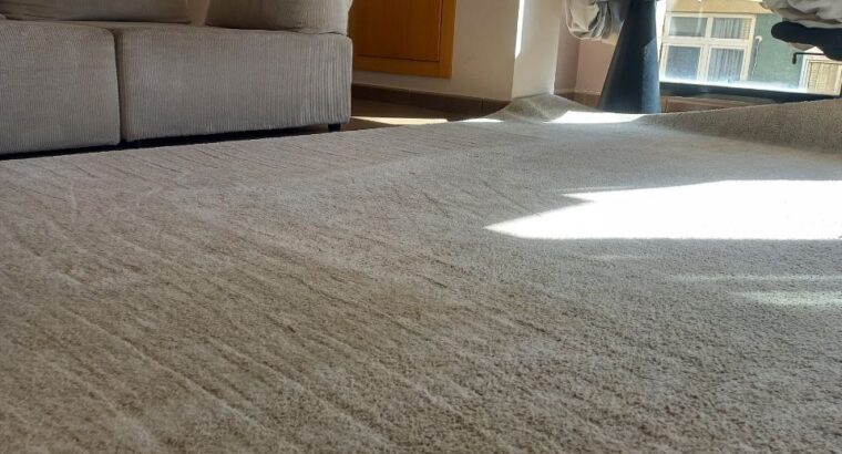 Пропоную професійні послуги хімчистки диванів, матрасів, крісел, стільців та коврів.