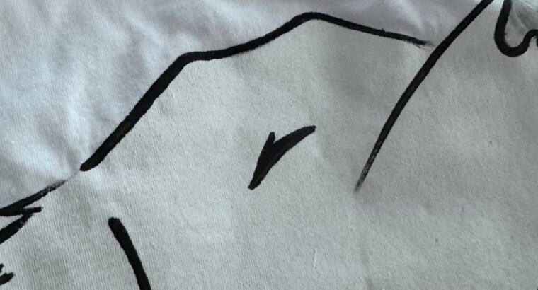 Внаявності футболки патріотичні ручний розпис ціна 15 €