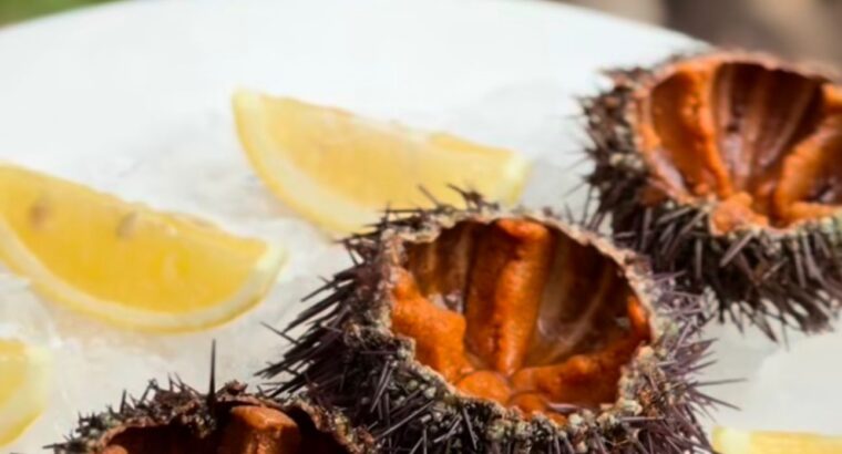 Італійський ресторан LUINI | ITALIAN RESTAURANT | NEAPOLITAN PIZZA | SAN PEDR