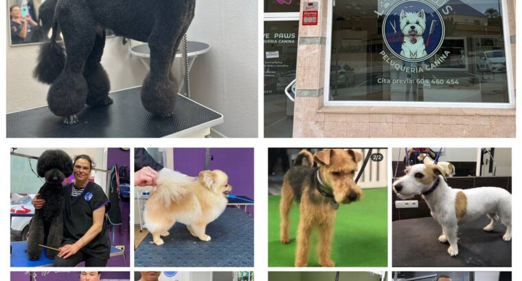 Груминг салон «Love Paws” предлагает полный спектр услуг по уходу за Вашими любимыми 🐶 хвостиками: