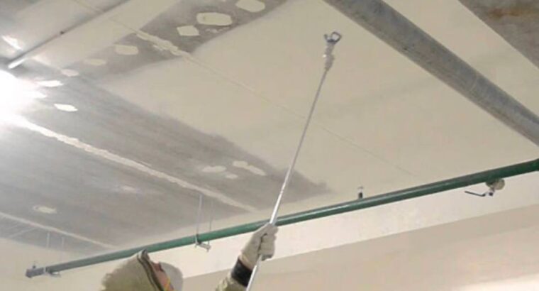 Тепер ми фарбуємо квартири і будинки за один день!