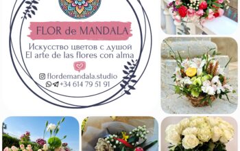 Flor de Mandala Studio