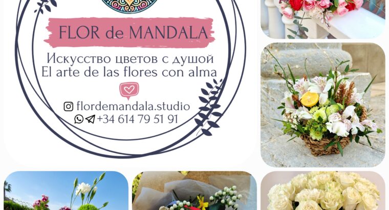 Flor de Mandala Studio
