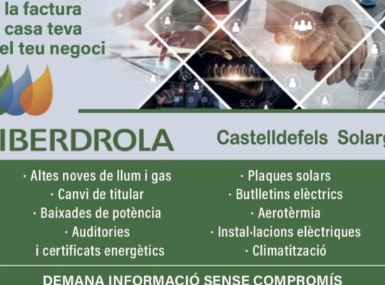 IBERDROLA консультатнт Олександр Павловський