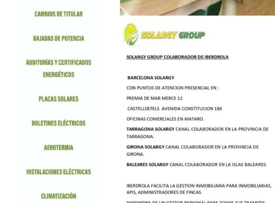 IBERDROLA консультатнт Олександр Павловський