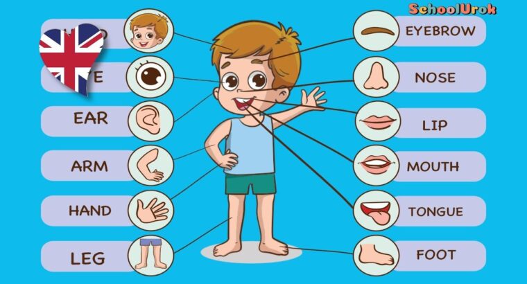 АНГЛІЙСЬКА ДЛЯ ДІТЕЙ: від бази до британської школи