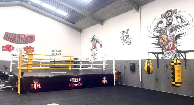 🏆 У Валенсії відкрився український боксерський зал!