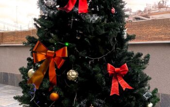 Ялинка 240 см