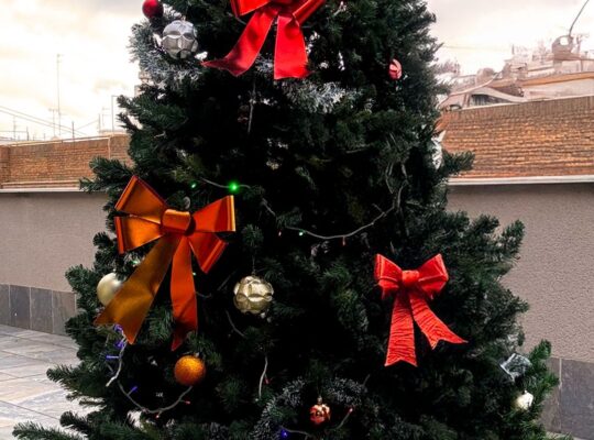 Ялинка 240 см